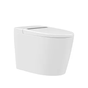 DeerValley DV-1S0159/0159-V1 Smart Bidet Toilet,Auto Flush, Heated Seat, Tankless One-Piece Bidet Toilets for Bathrooms